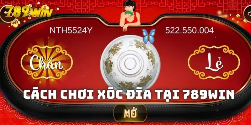 Cách chơi Xóc đĩa 789WIN có đa dạng cửa cược 